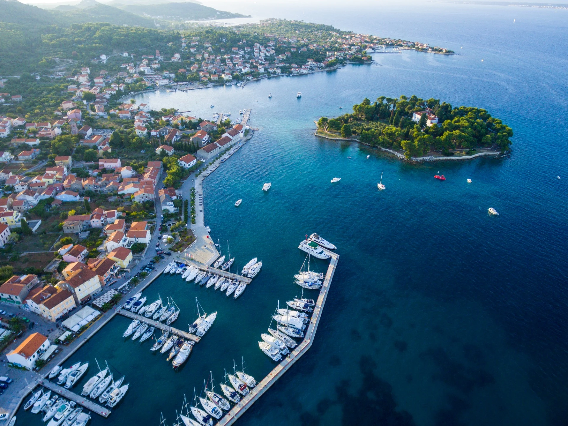 PRIJEŠKA LUZARICA